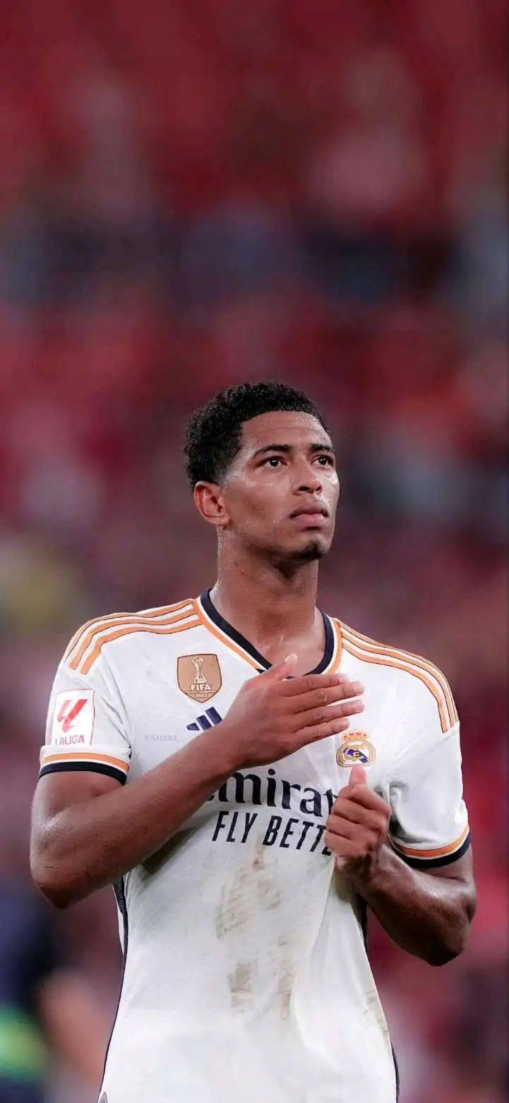 历波动与项 历波动与项